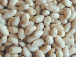 long shape blanched peanut kernels