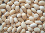 round shape blanched peanut kernels