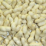 inshell peanuts