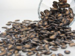black water melon seeds