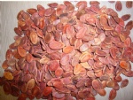 red water melon seeds