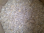 sunflower seeds kernels