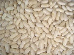 white kidney beans