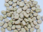 broad beans