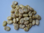 peeled broad beans